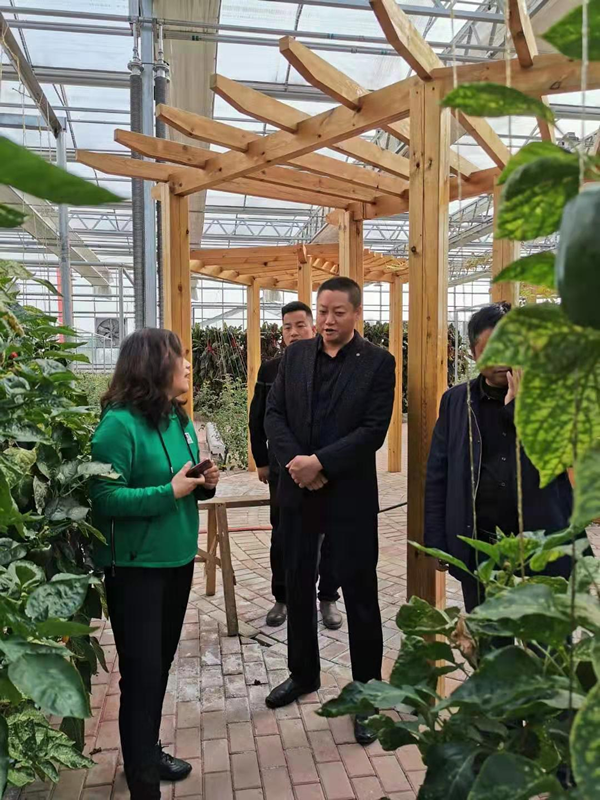 微信圖片_201911151557272